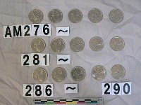 藏品(加拿大二十五分硬幣)的圖片